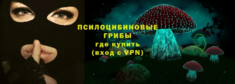 нарко площадка телеграм  Ковров  Галлюциногенные грибы Magic Shrooms 